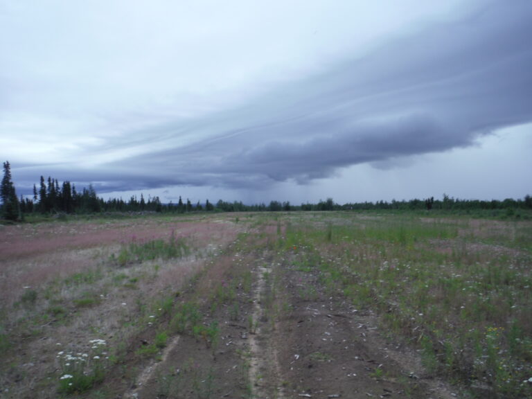 Pye Farm fields.