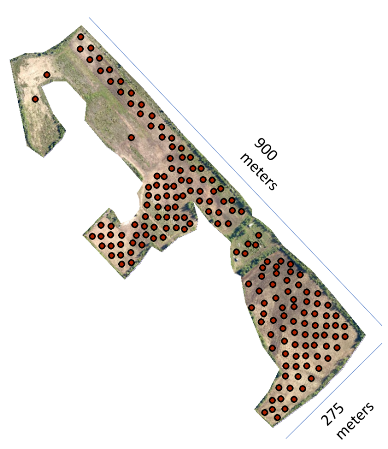 Grid soil sampling scheme at Pye Farm in HV-GB, Labrador.