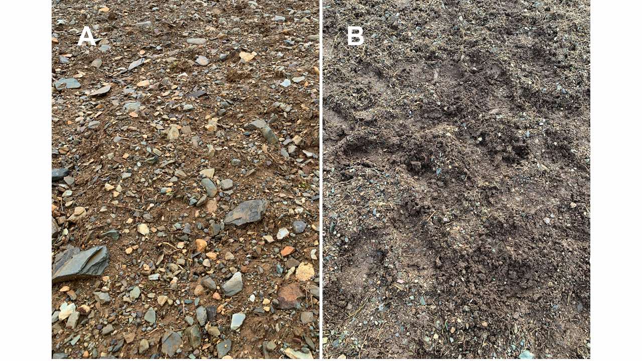 Before (A) and after (B) rock crushing.