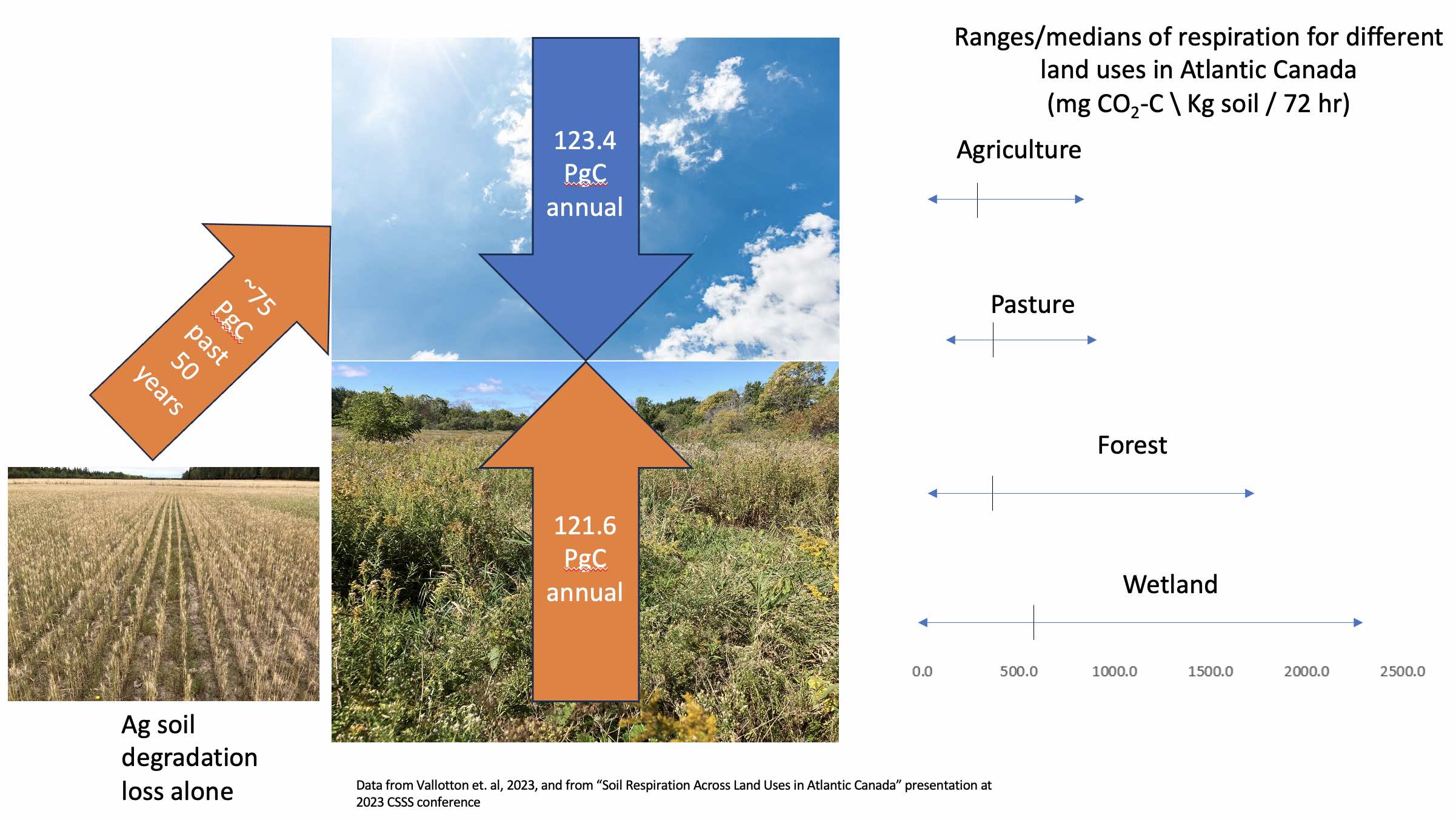 Soil respiration across the Atlantic survey.