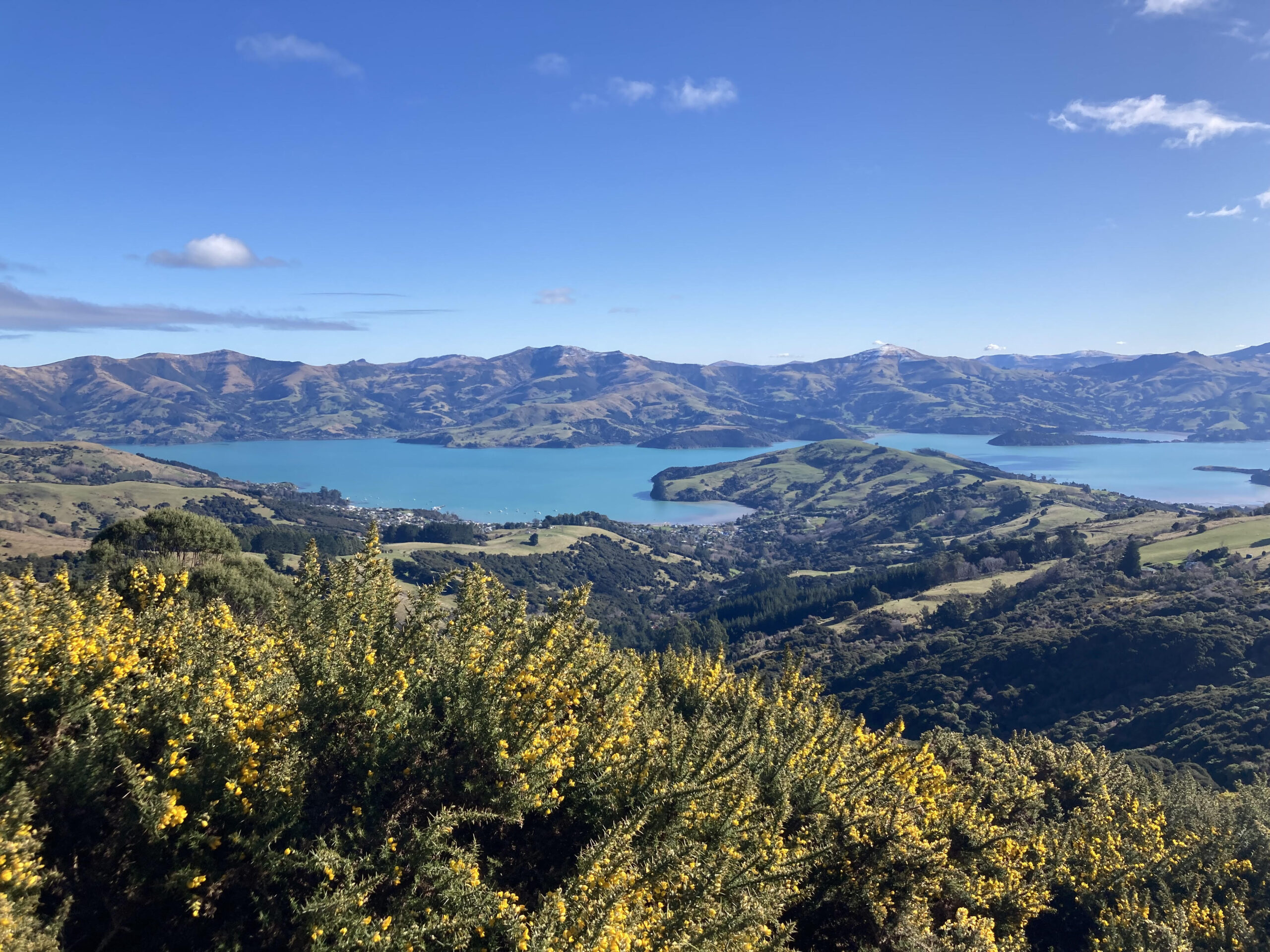 New Zealand