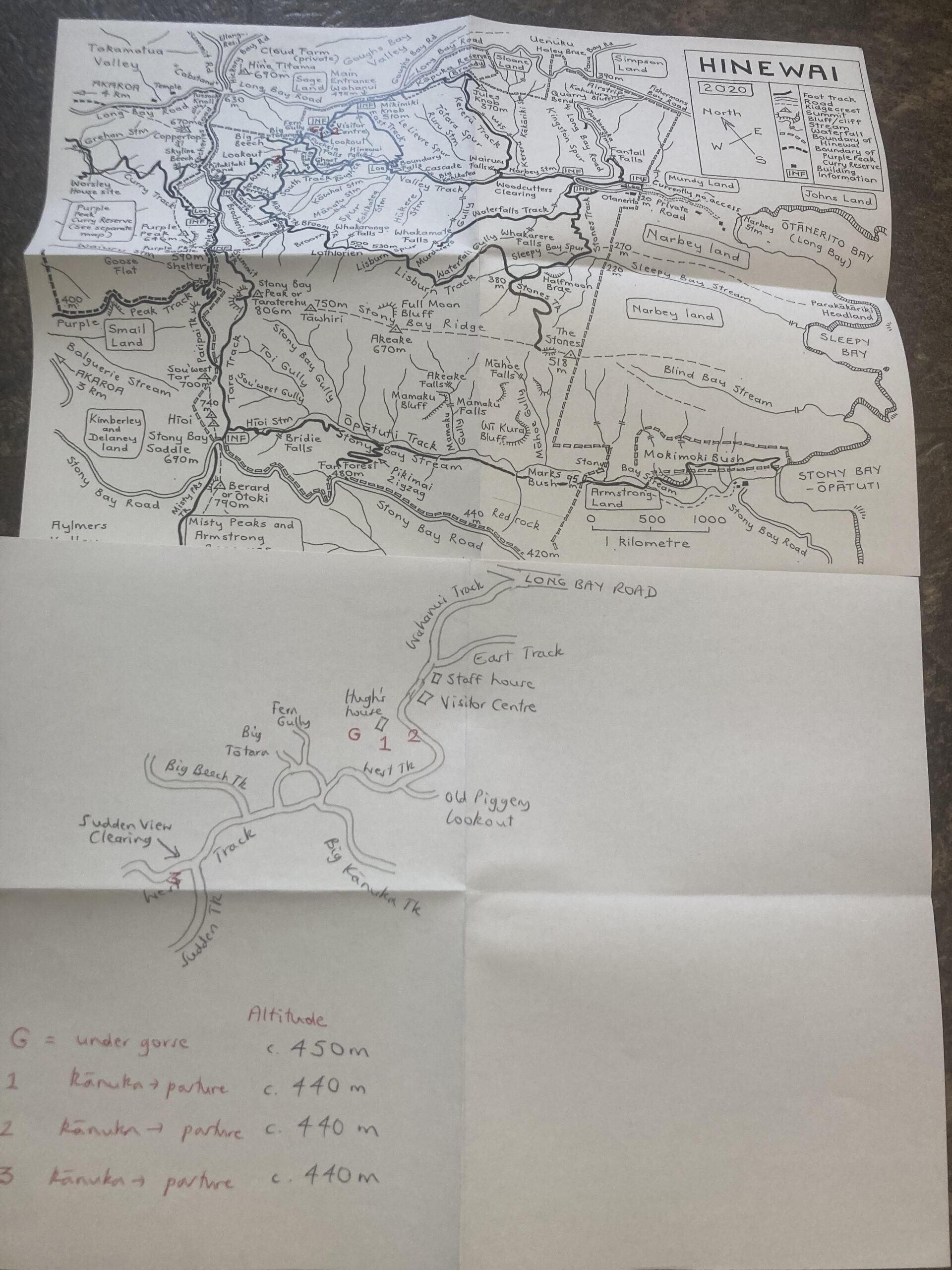 Hinewai Reserve (Akaroa Peninsula near Christchurch) sampling scheme; map hand-drawn by Hugh Wilson, head of the Reserve.