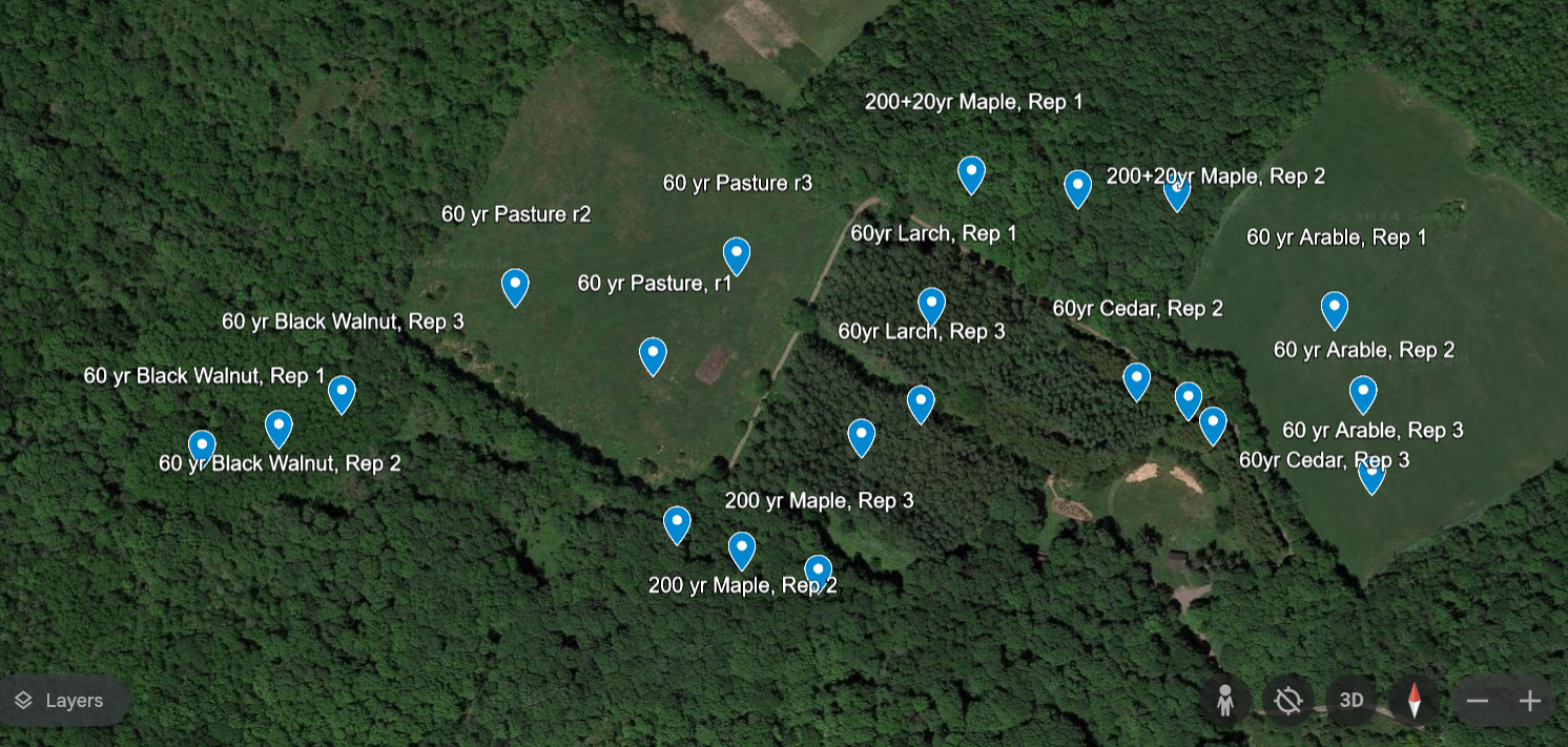 Sampling scheme in McGill's Morgan Arboretum, Montreal, Quebec.