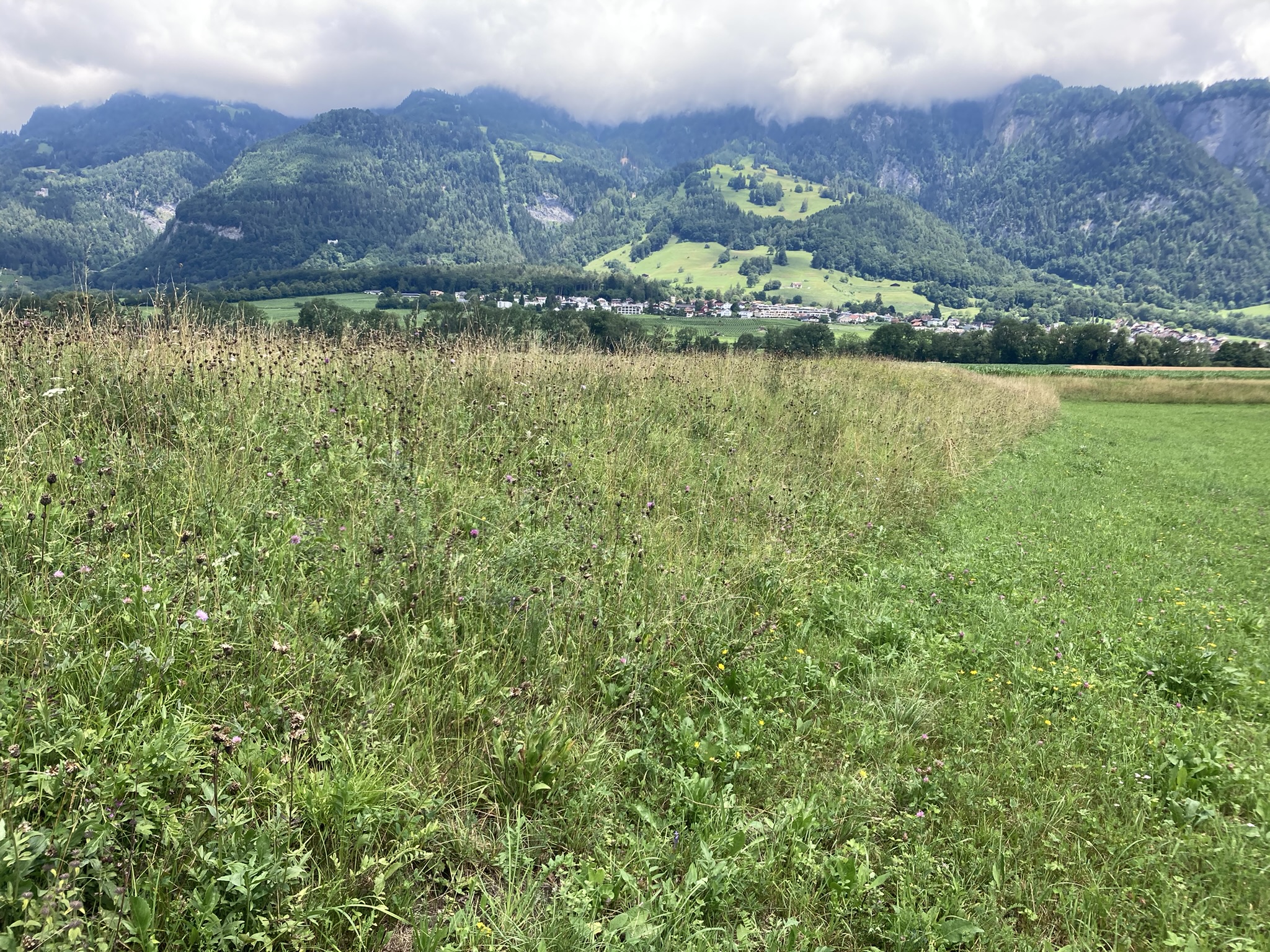 Switzerland