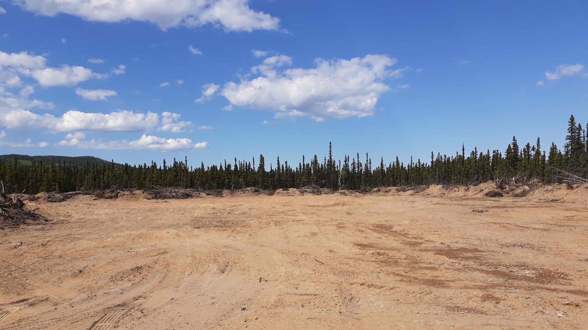 Taiga Valley